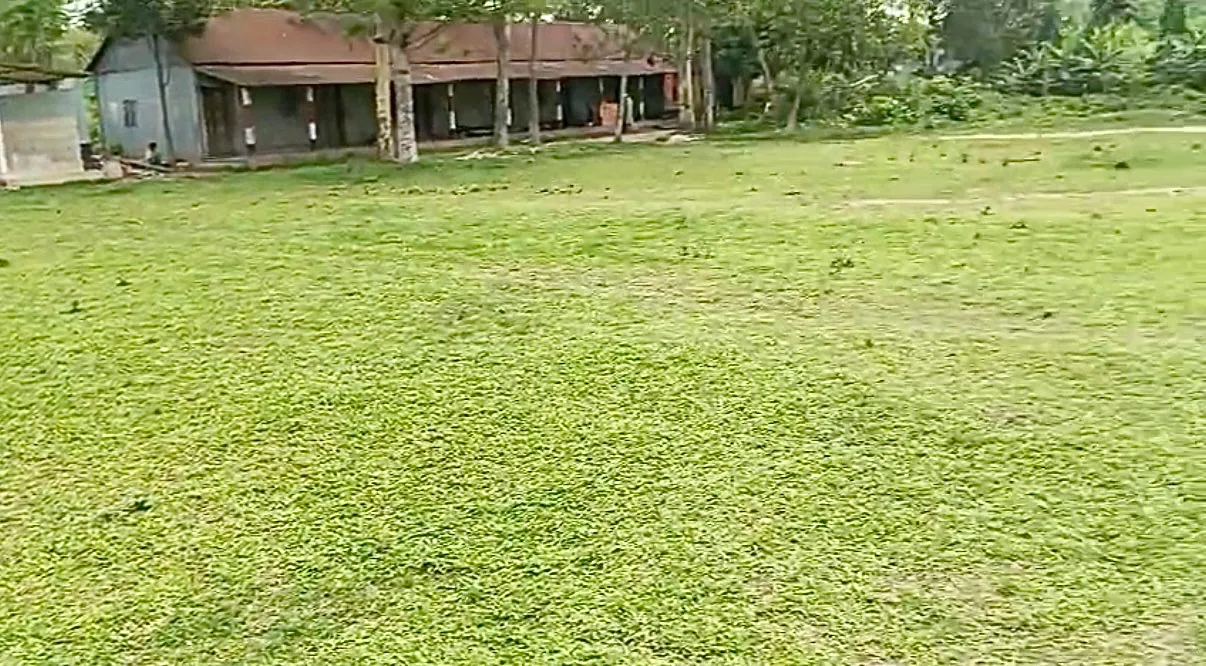 The 5-acre campus grounds in Lohajuri